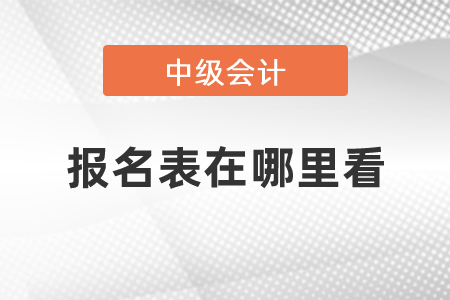 中級會(huì)計(jì)職稱報(bào)名表在哪里看