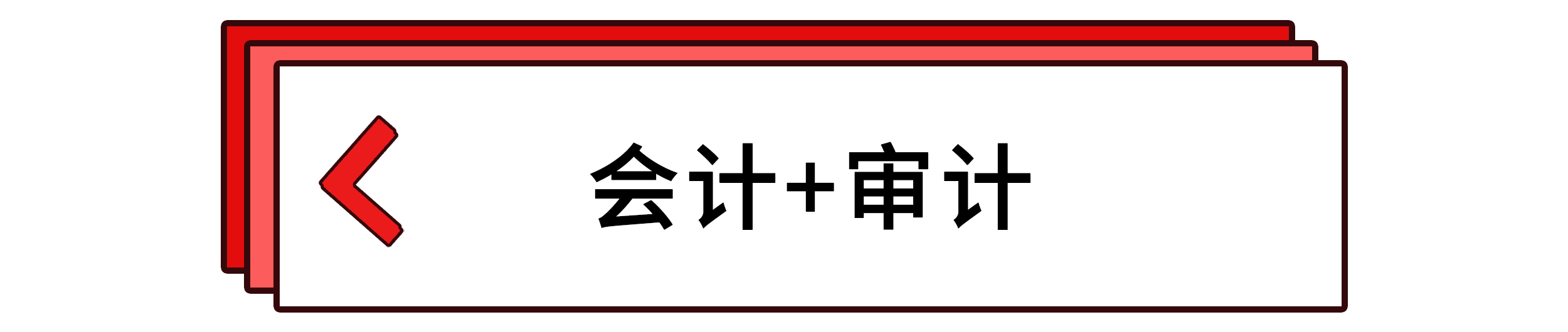 會計+審計