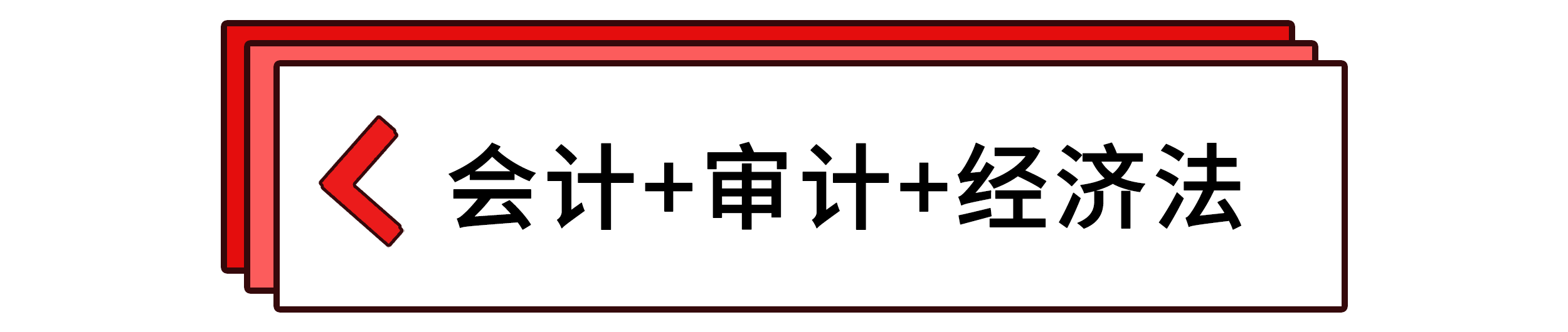 會計+審計+經(jīng)濟(jì)法