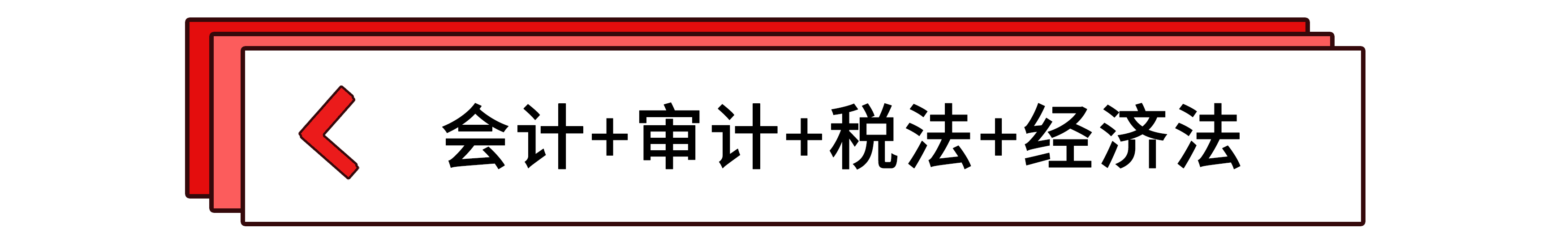 會計+審計+稅法+經(jīng)濟(jì)法