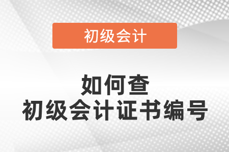 如何查初級(jí)會(huì)計(jì)證書(shū)編號(hào)