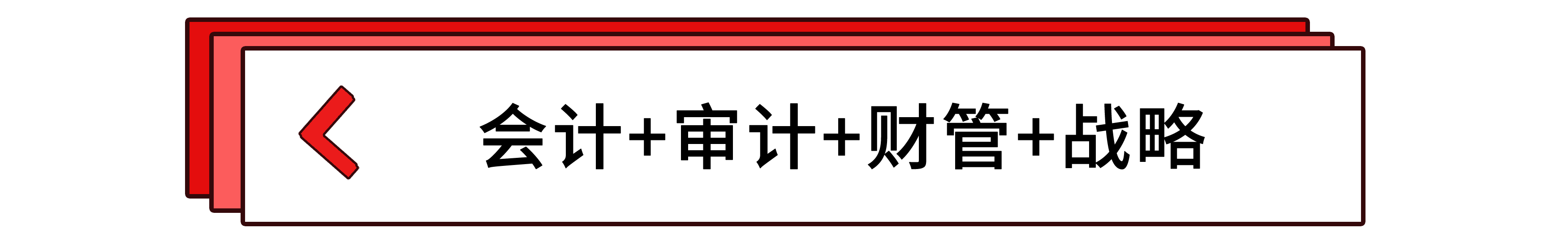 會計+審計+財管+戰(zhàn)略