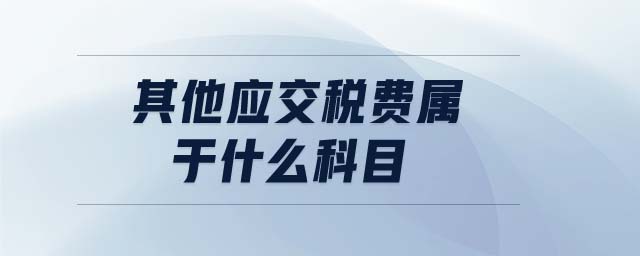 其他應(yīng)交稅費(fèi)屬于什么科目