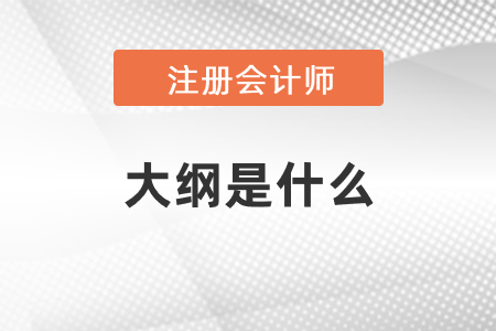 2021年注冊(cè)會(huì)計(jì)師大綱是什么