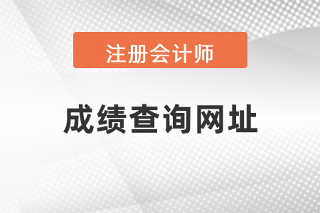 中國注冊會計(jì)師成績查詢網(wǎng)址