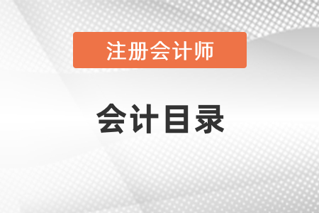 2021年注冊會計師會計目錄