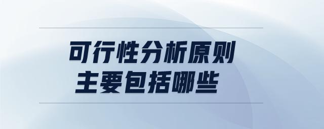 可行性分析原則主要包括哪些