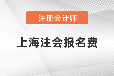 上海注會一科報名費是多少錢