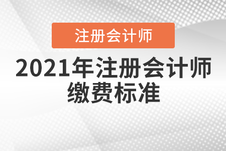 2021年注冊(cè)會(huì)計(jì)師繳費(fèi)標(biāo)準(zhǔn)