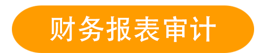 財(cái)務(wù)報(bào)表審計(jì)