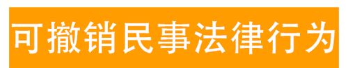 可撤銷民事法律行為