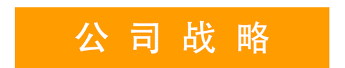 公司戰(zhàn)略