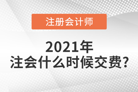 注會(huì)什么時(shí)候交費(fèi)