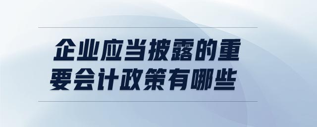 企業(yè)應當披露的重要會計政策有哪些