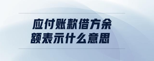 應(yīng)付賬款借方余額表示什么意思