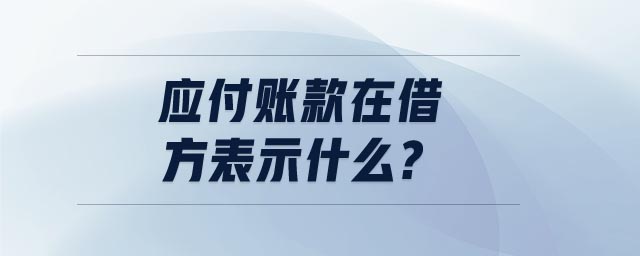 應(yīng)付賬款在借方表示什么