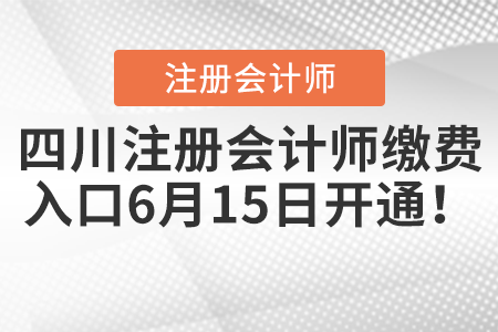 四川省阿壩注冊會計(jì)師繳費(fèi)入口6月15日開通,！