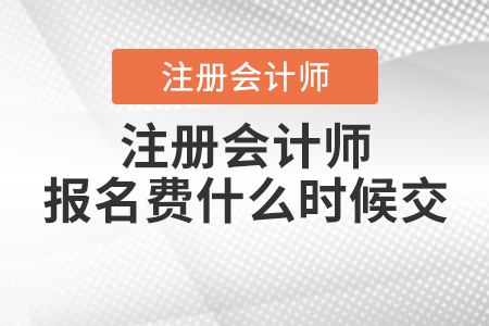 注冊(cè)會(huì)計(jì)師報(bào)名費(fèi)什么時(shí)候交