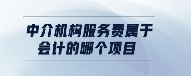 中介機(jī)構(gòu)服務(wù)費(fèi)屬于會(huì)計(jì)的哪個(gè)項(xiàng)目