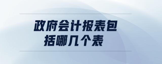 政府會(huì)計(jì)報(bào)表包括哪幾個(gè)表