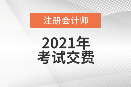 注冊(cè)會(huì)計(jì)師2021繳費(fèi)時(shí)間及入口