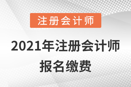 2021年注冊(cè)會(huì)計(jì)師報(bào)名繳費(fèi)