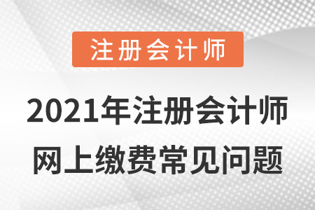 2021年注冊會計師網上繳費常見問題