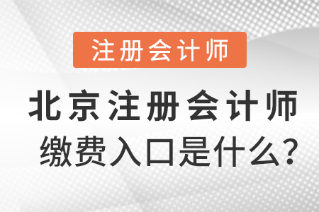 北京市通州區(qū)注冊會計師繳費(fèi)入口是什么？