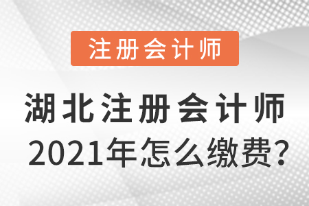 湖北2021年注冊會計師怎么繳費？