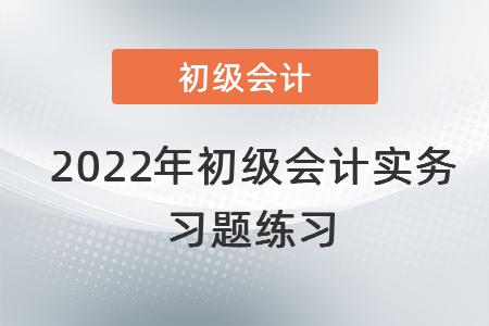 2022年初級(jí)會(huì)計(jì)實(shí)務(wù)習(xí)題練習(xí)