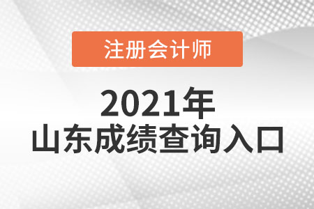 2021年山東省泰安cpa考試成績查詢?nèi)肟陂_通了嗎