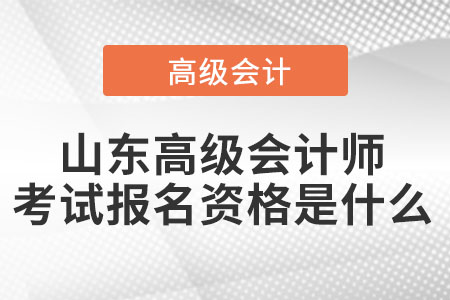 山東高級會計師考試報名資格是什么