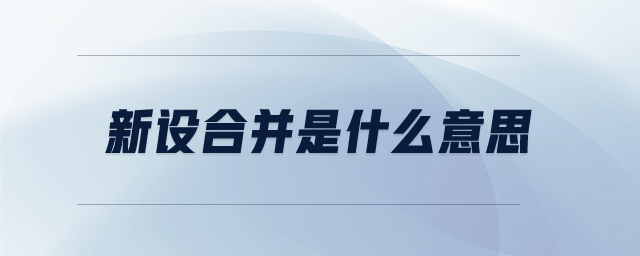 新設(shè)合并是什么意思
