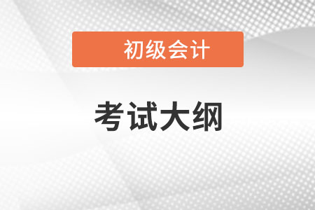 2022年初級(jí)會(huì)計(jì)考試大綱會(huì)有變動(dòng)嗎,？