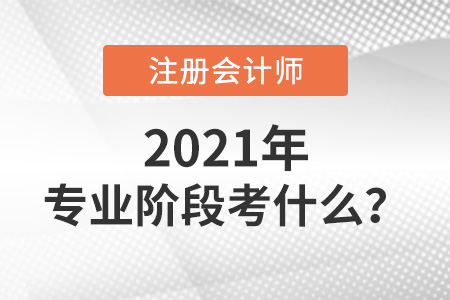 注冊會計師專業(yè)階段考什么