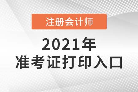 注冊會計(jì)師考試準(zhǔn)考證打入口只有一個(gè)嗎