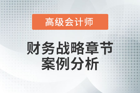 高級(jí)會(huì)計(jì)師考試財(cái)務(wù)戰(zhàn)略章節(jié)案例分析