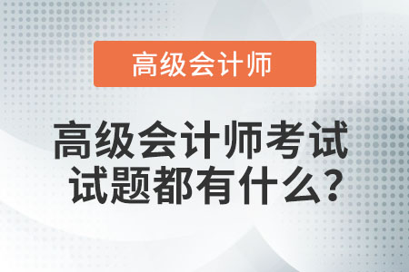 高級(jí)會(huì)計(jì)師考試試題都有什么？