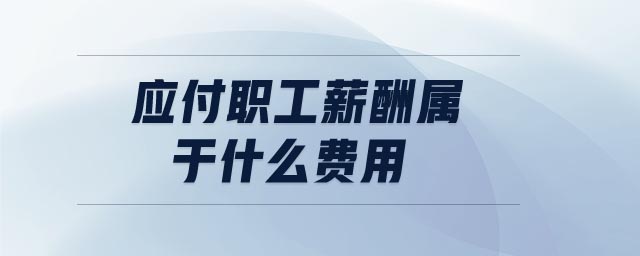 應(yīng)付職工薪酬屬于什么費用