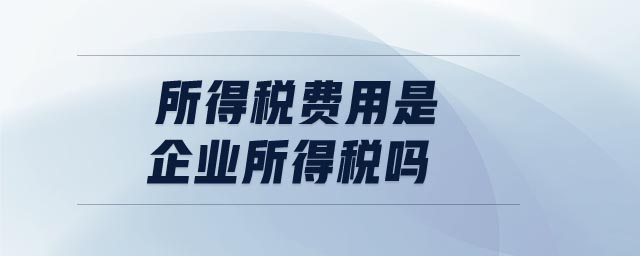 所得稅費用是企業(yè)所得稅嗎