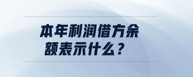 本年利潤借方余額表示什么