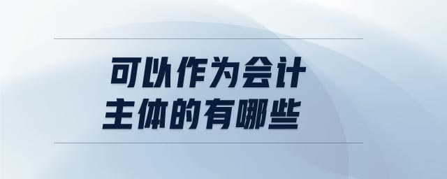 可以作為會計主體的有哪些