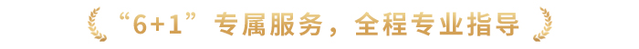 “6+1”專屬服務(wù),，全程專業(yè)指導(dǎo)