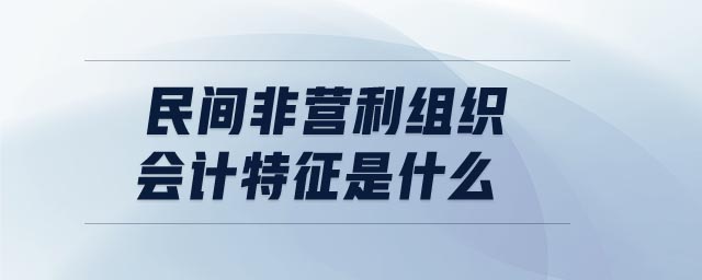 民間非營(yíng)利組織會(huì)計(jì)特征是什么