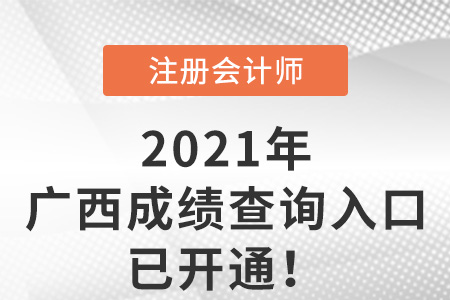 廣西自治區(qū)崇左2021年注冊(cè)會(huì)計(jì)師成績查詢?nèi)肟谝验_通