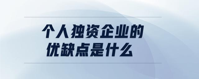 個(gè)人獨(dú)資企業(yè)的優(yōu)缺點(diǎn)是什么