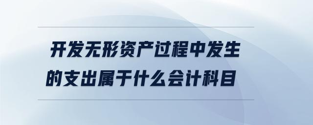 開發(fā)無形資產(chǎn)過程中發(fā)生的支出屬于什么會計科目