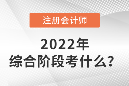 2022年注冊會(huì)計(jì)師綜合階段考試考什么？