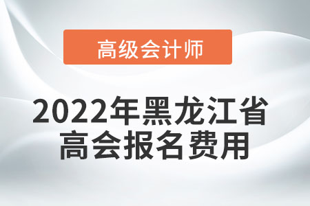 2022年黑龍江省高級(jí)會(huì)計(jì)師考試報(bào)名費(fèi)用