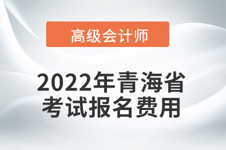 2022年青海省高級(jí)會(huì)計(jì)師考試報(bào)名費(fèi)用公布